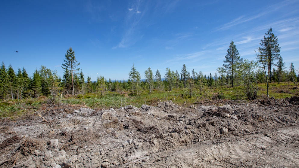 Tomtene er klare for byggestart allerede høsten 2018. Foto: Joakim Mangen
