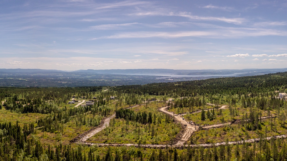 Dronebilde fra Gåsbu Hyttegrend med utsikt mot Mjøsa. Foto: Joakim Mangen