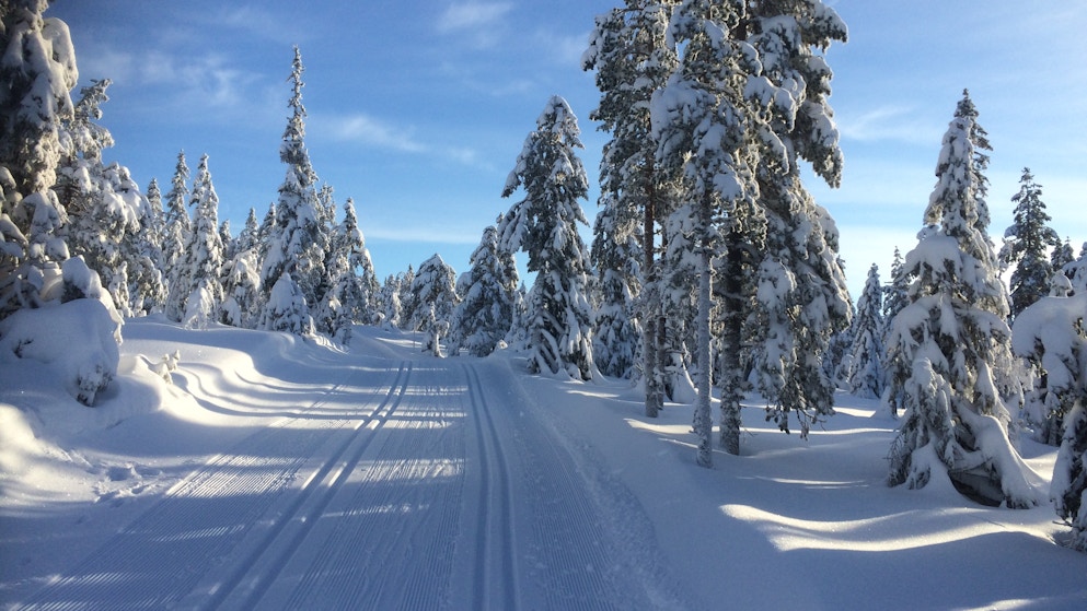 Foto: Magne Lund